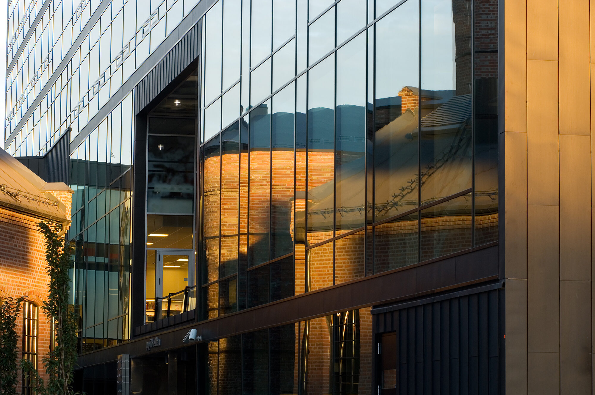 Foto: Torbjørn Tandberg