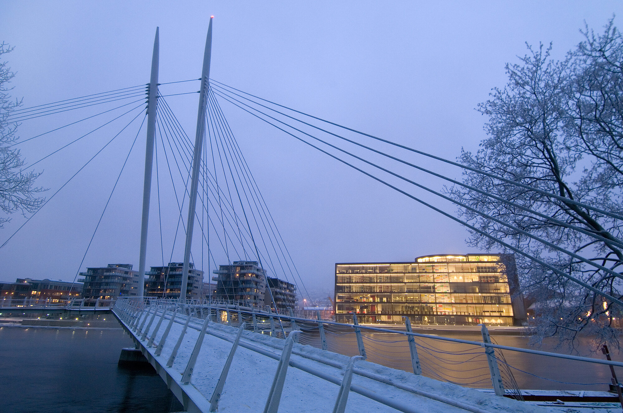 Foto: Torbjørn Tandberg