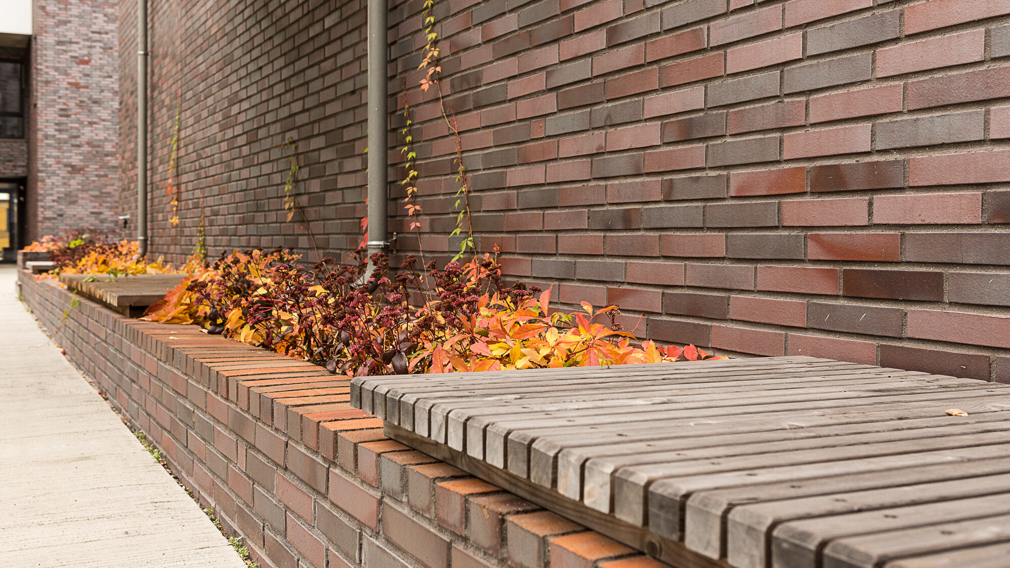 Sørenga, LPO arkitekter