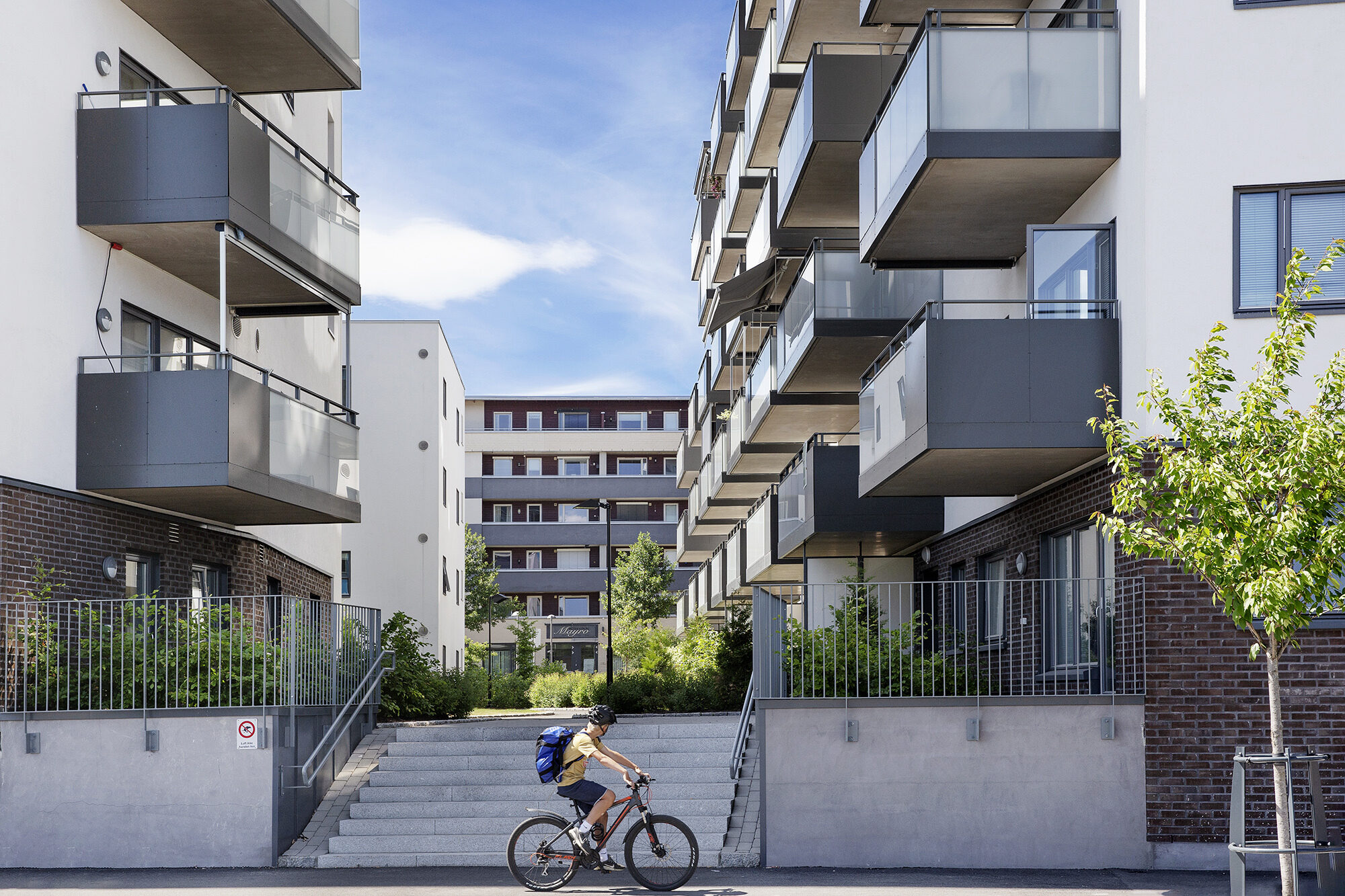 Wents hage, Lørenskog.