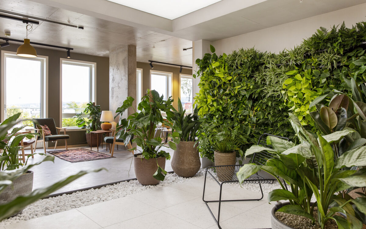 Oboslivinglab2496nett