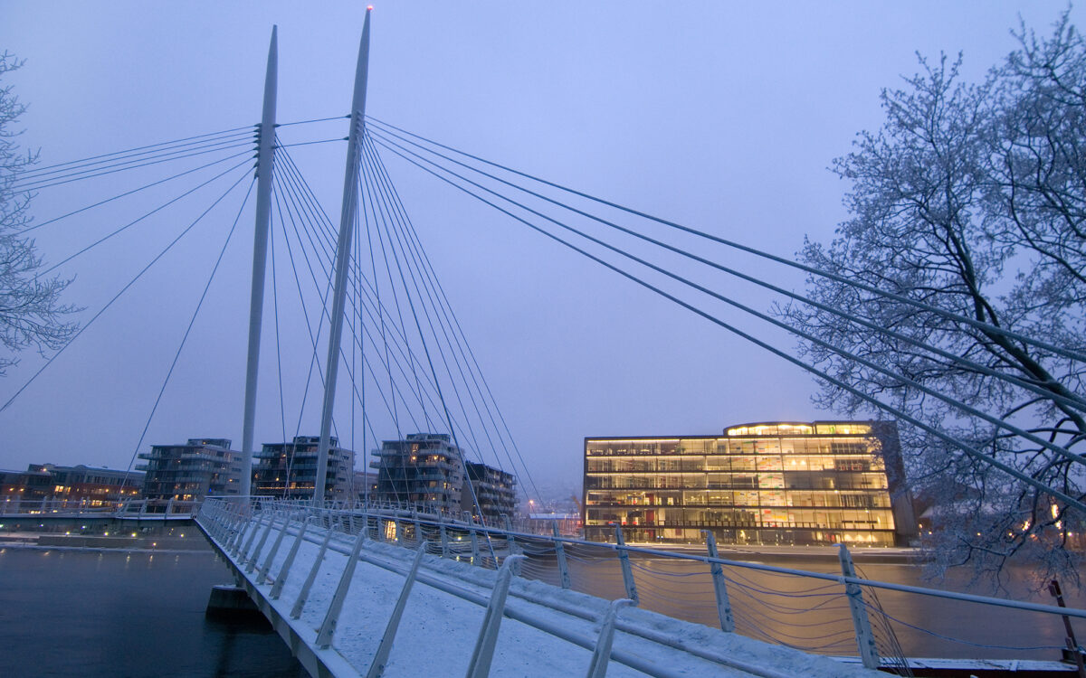 Papirbreddentorbjorntanbergdsc5180